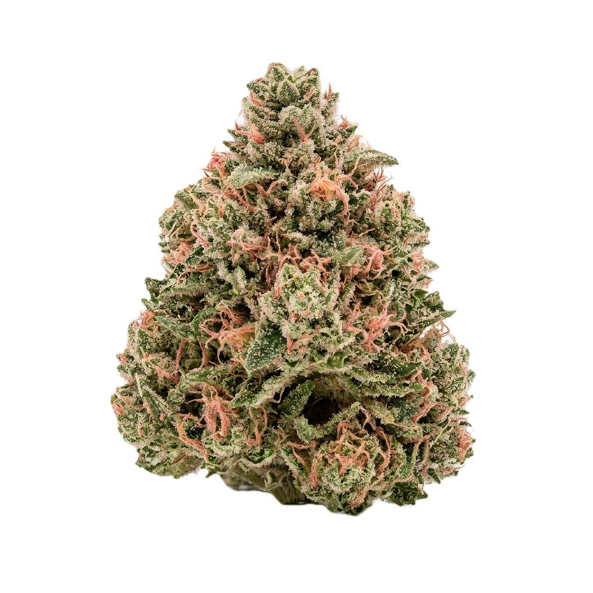 Bubble Gum